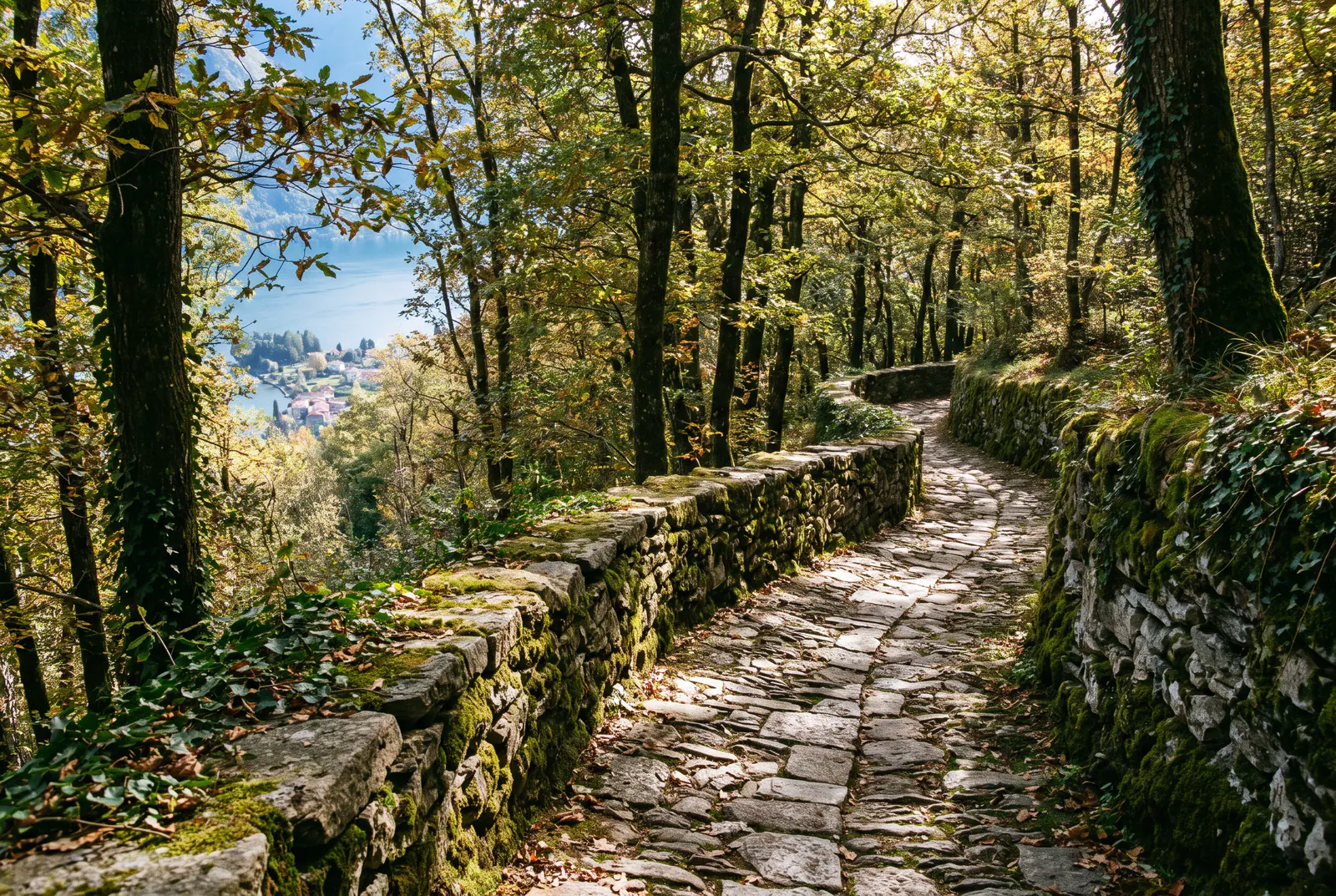 Un chemin de pierre sous les châtaigniers, le lac aperçu entre les arbres.